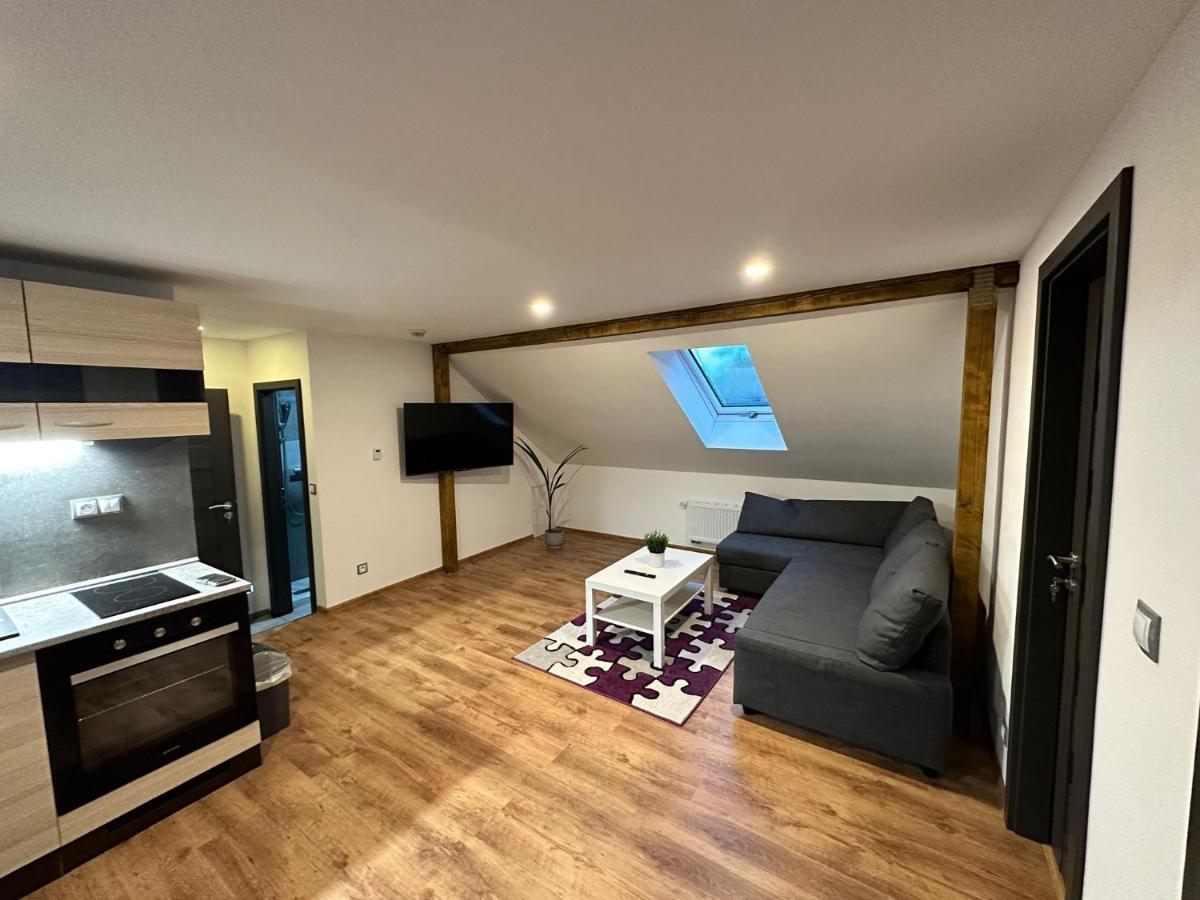 Apartmany Krenov Bernsdorf Exteriér fotografie