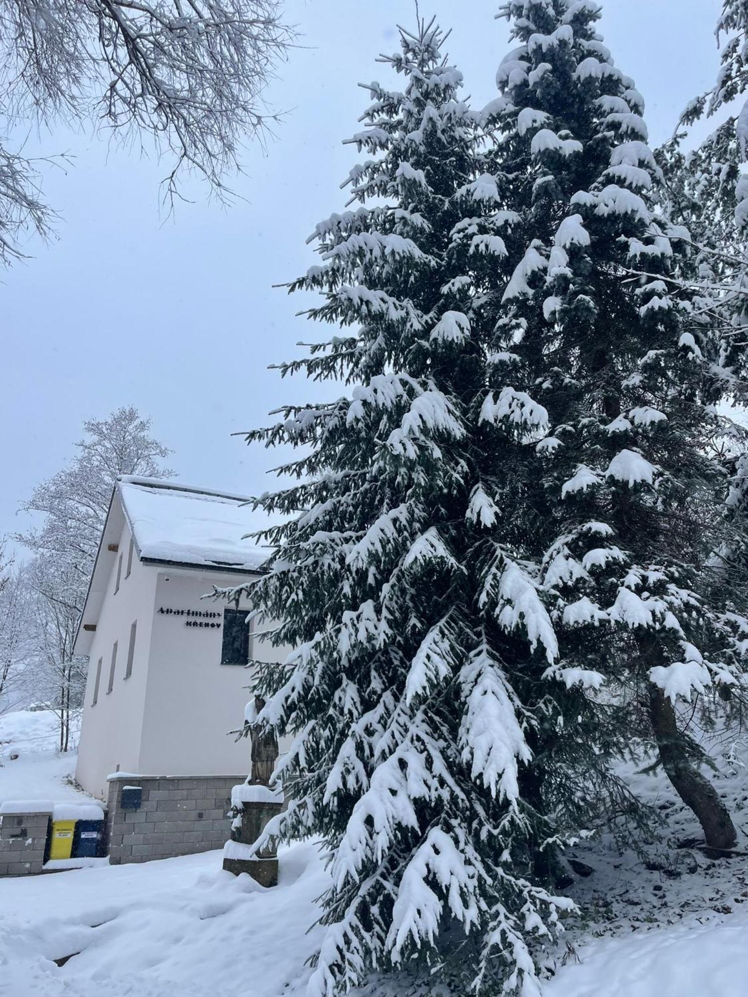 Apartmany Krenov Bernsdorf Exteriér fotografie
